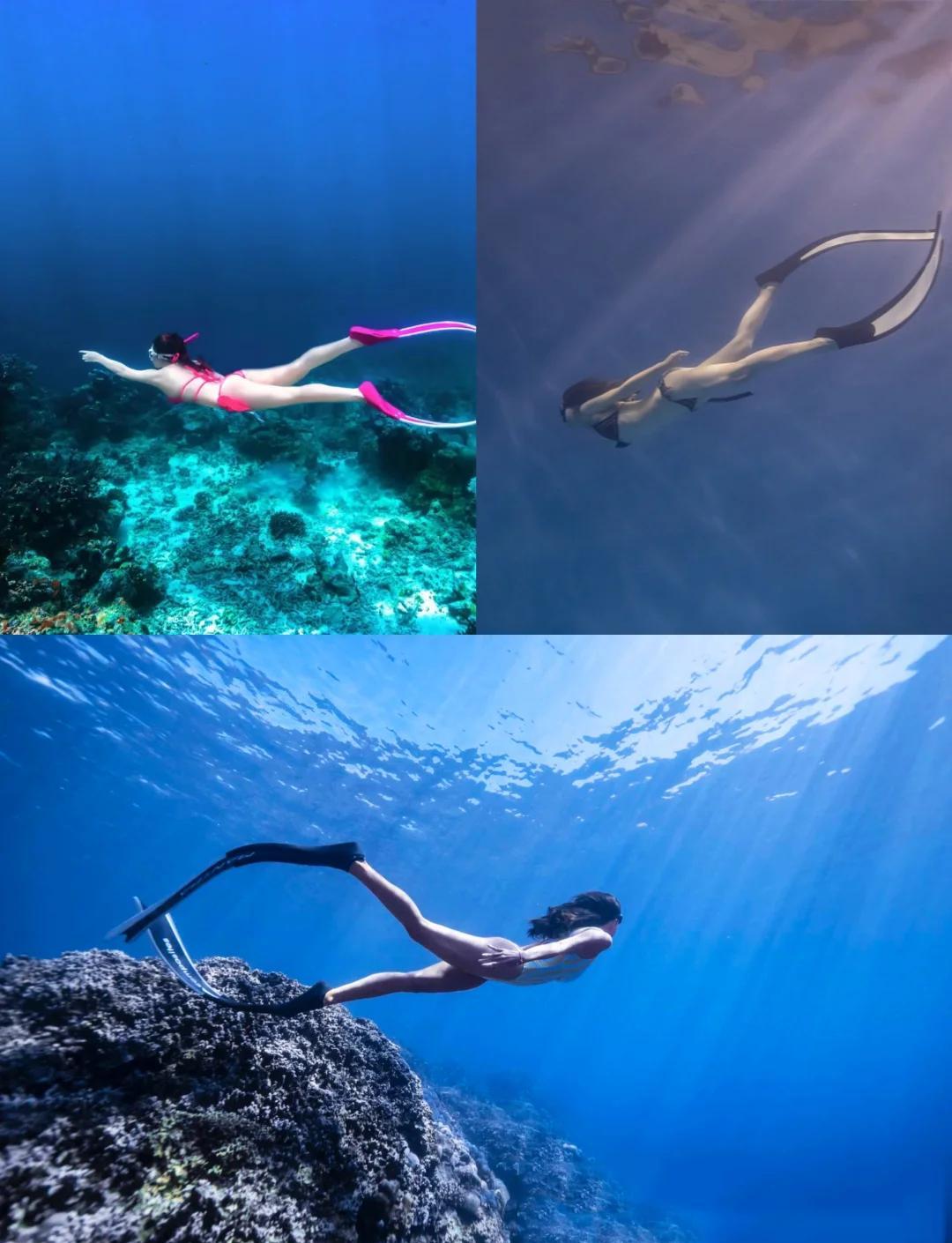 关于海外海洋潜水挑战赛,探索深海生态奇观的信息 关于海外海洋潜水挑战赛,探索深海生态奇观的信息