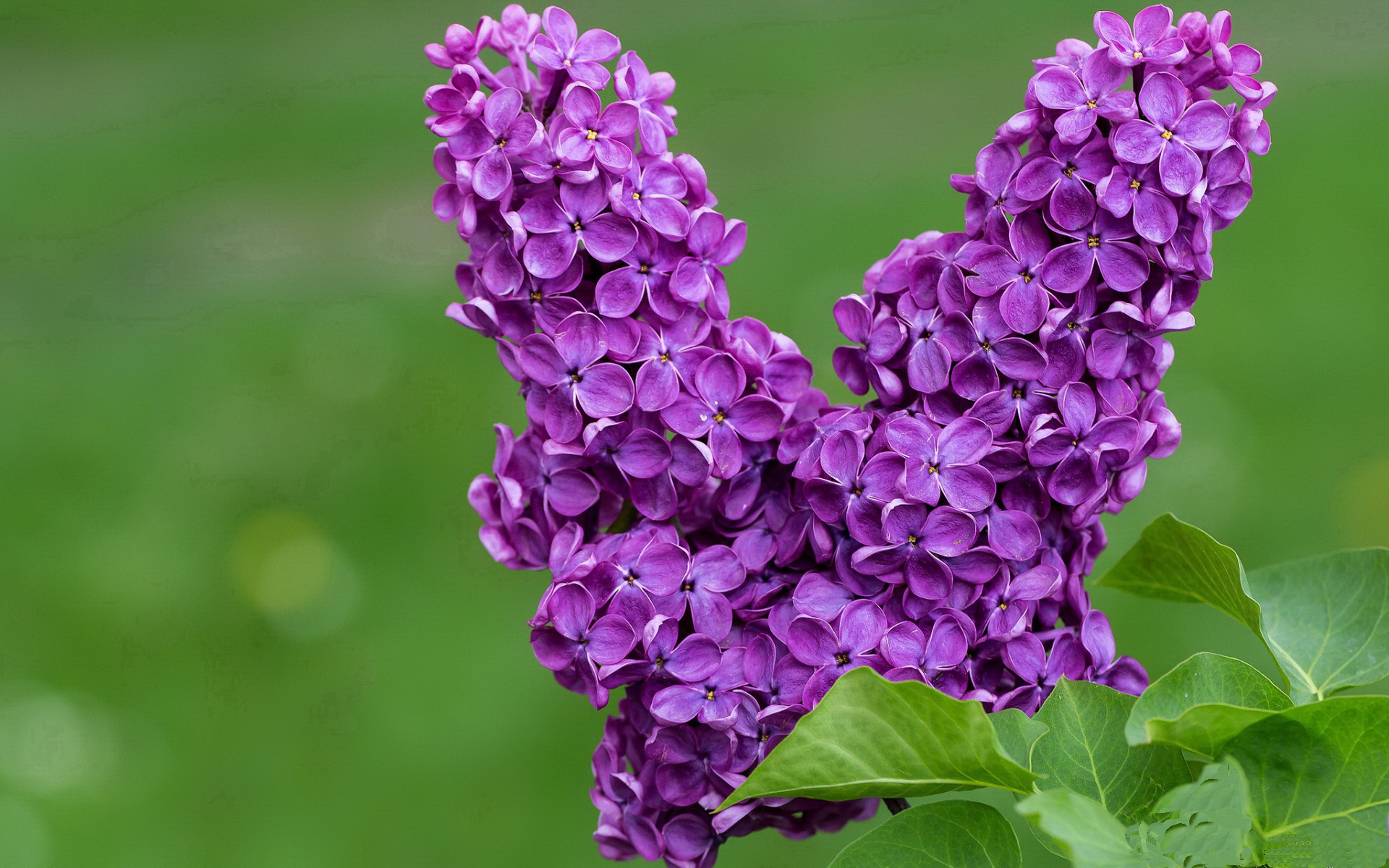 kaiyun app download-上海久事球队技术细节持续优化，上海久事能进季后赛吗