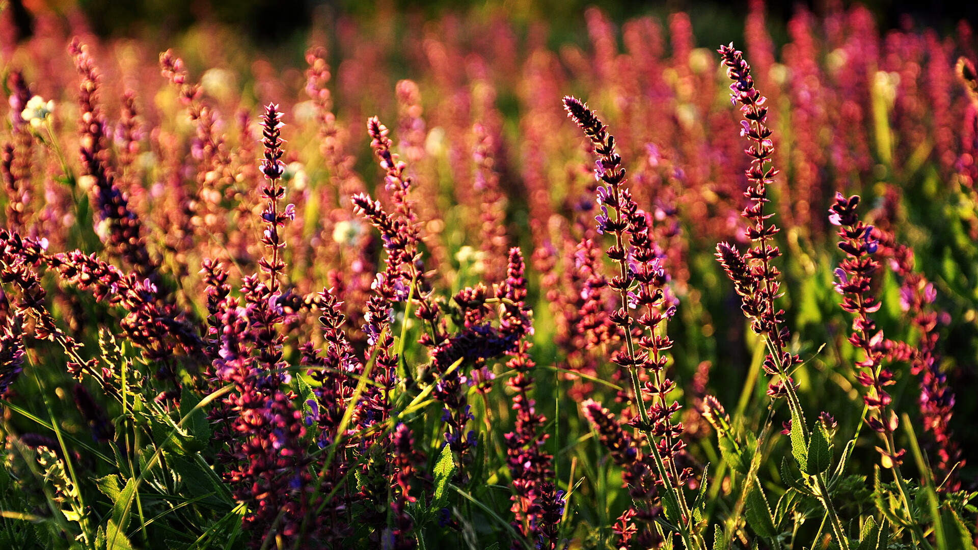 开云体育下载-曼城球员凯尔·沃克因伤无法参加下场比赛，凯尔·沃克球衣号码