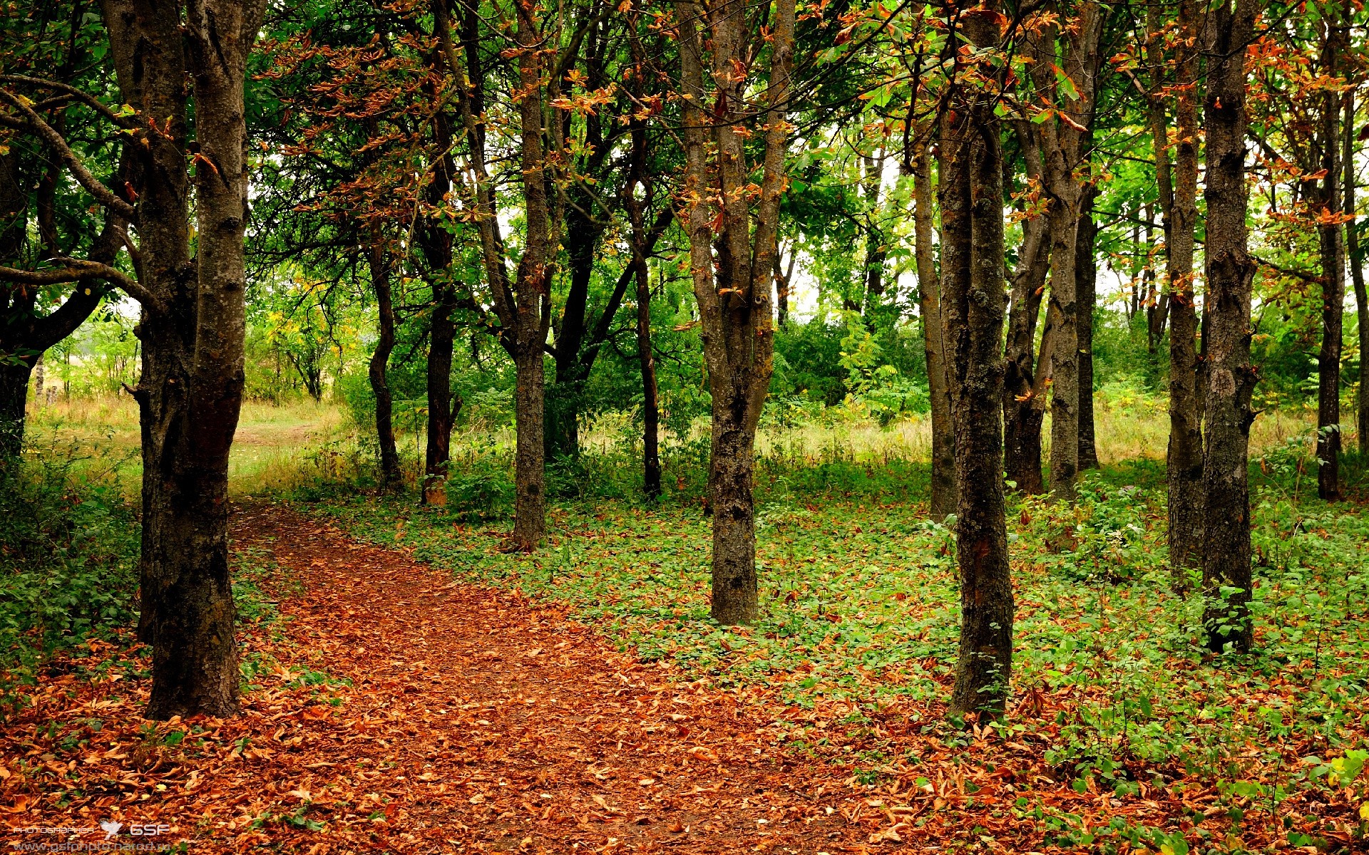 Kysports-欧洲豪门交锋，火爆场面震撼全场！，欧洲豪门队