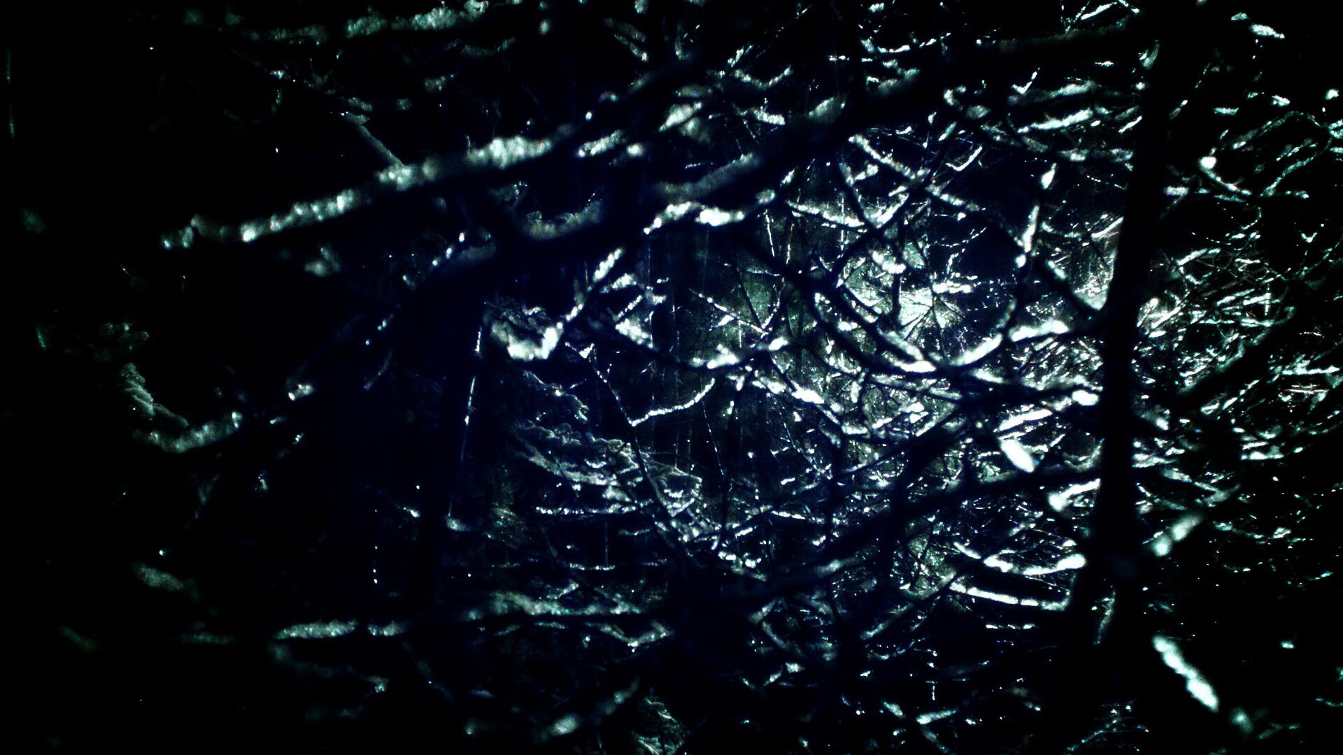 比利时球员荣膺金球奖,成为焦点,比利时足球得过什么奖