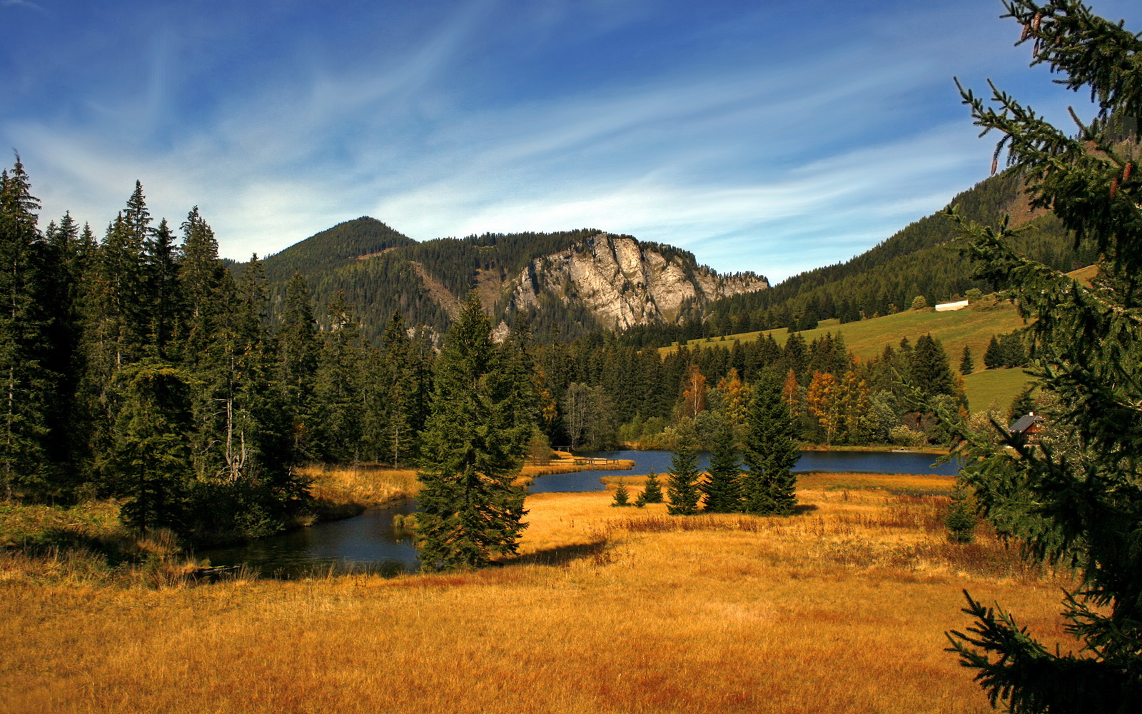 电竞赛事中的裁判培训与判罚标准,电竞裁判课程