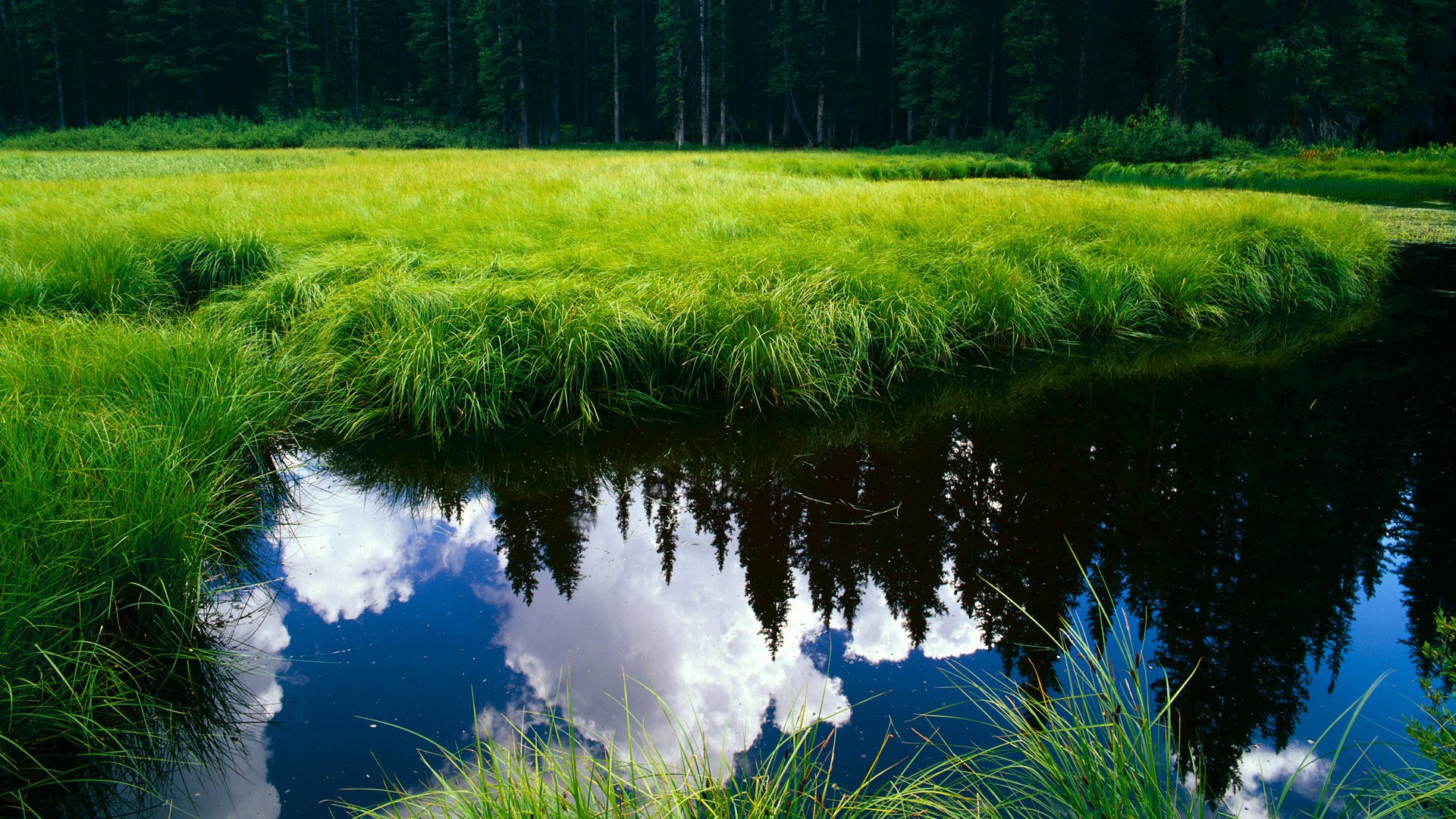 kaiyun sports safe-电视转播解说是否影响观众理解，电视解说节目