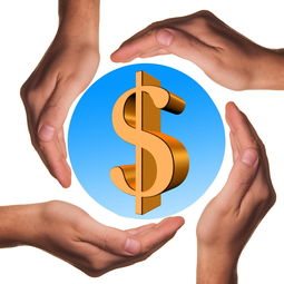 开云-中国篮球教练员心理素质提升途径，中国篮球教练员心理素质提升途径包括