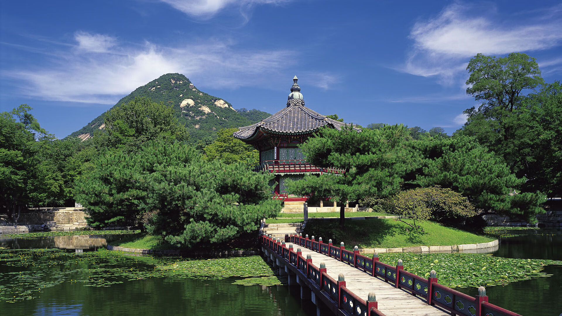 足球战术打法日趋多样化,足球战术打法有什么